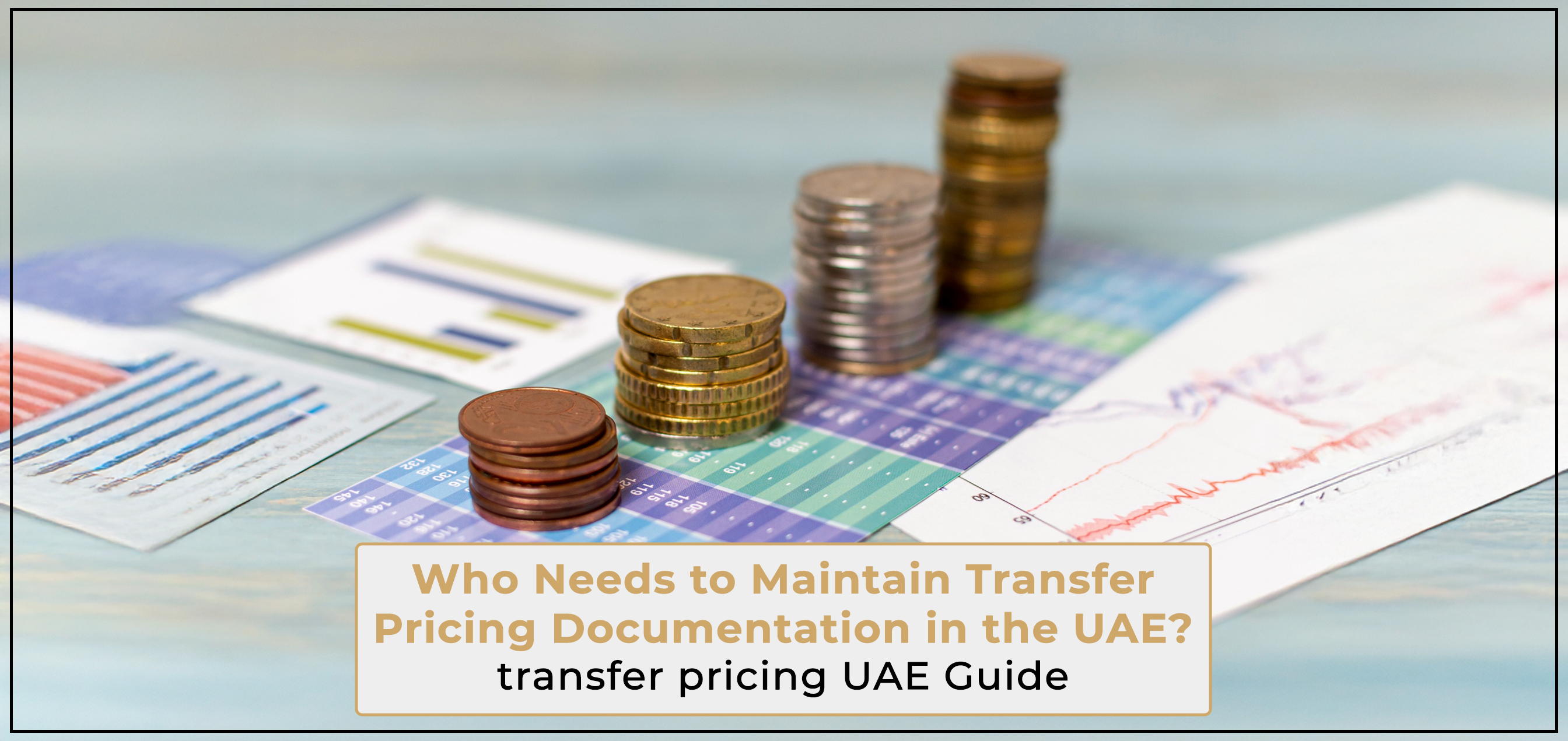 Who Needs to Maintain Transfer Pricing Documentation in the UAE? | transfer pricing UAE Guide[